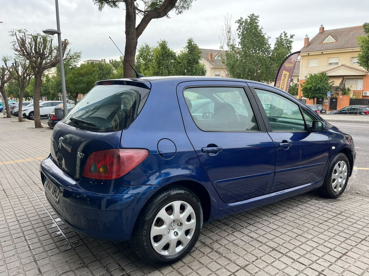 peugeot 307 año 2006