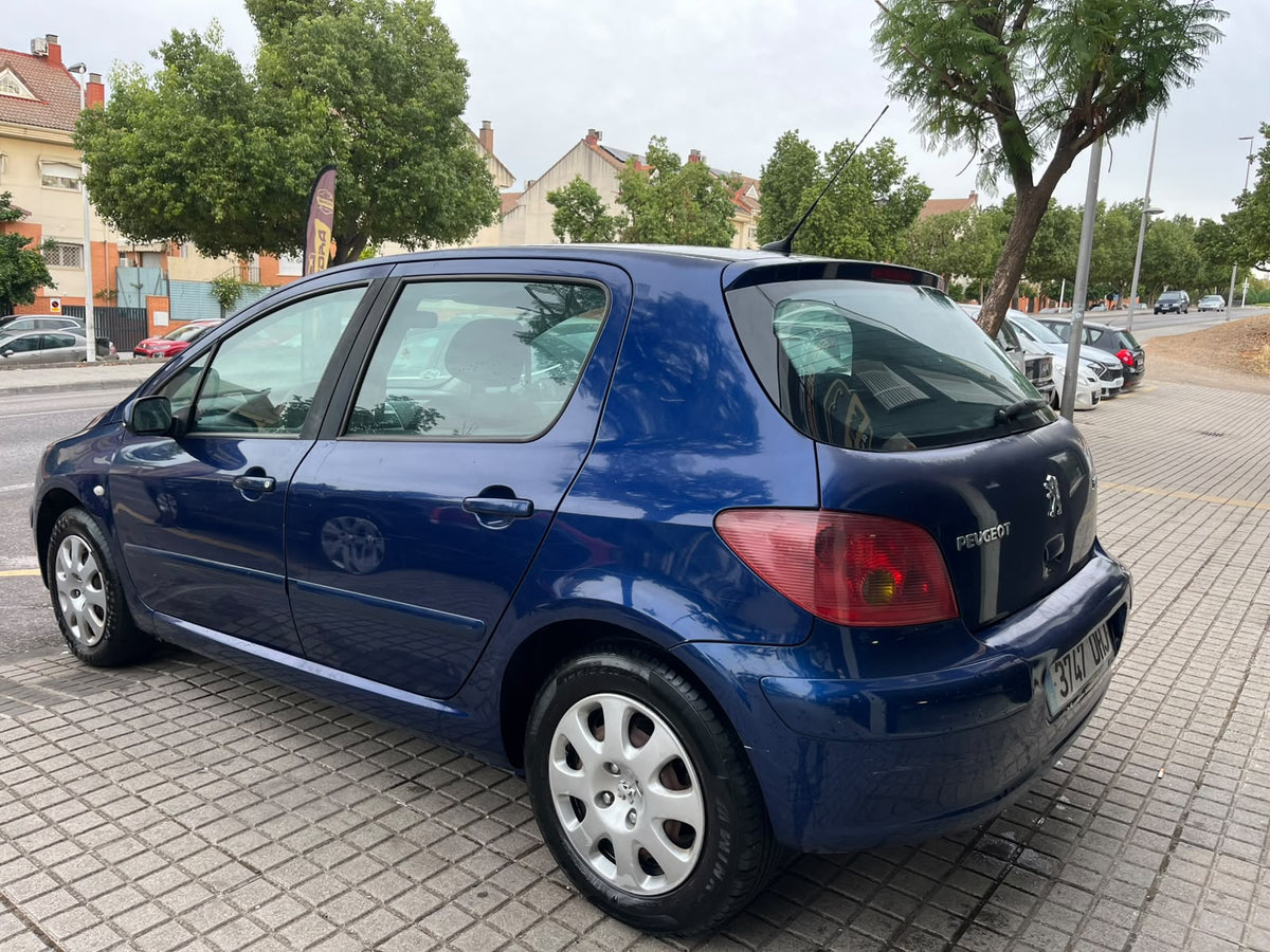 peugeot 307 año 2006